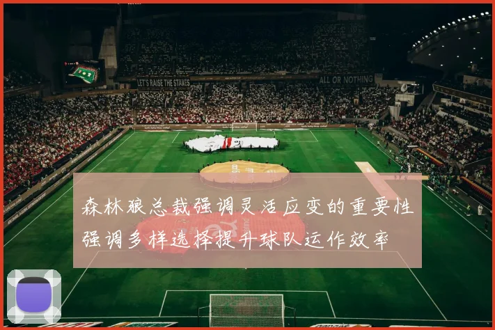 森林狼总裁强调灵活应变的重要性强调多样选择提升球队运作效率