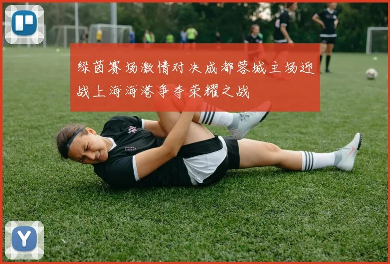 绿茵赛场激情对决成都蓉城主场迎战上海海港争夺荣耀之战